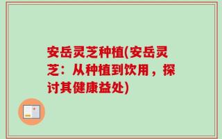 安岳灵芝种植(安岳灵芝：从种植到饮用，探讨其健康益处)