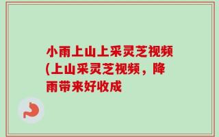 小雨上山上采灵芝视频(上山采灵芝视频，降雨带来好收成