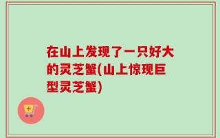 在山上发现了一只好大的灵芝蟹(山上惊现巨型灵芝蟹)