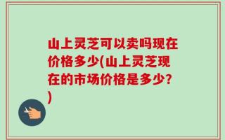 山上灵芝可以卖吗现在价格多少(山上灵芝现在的市场价格是多少？)
