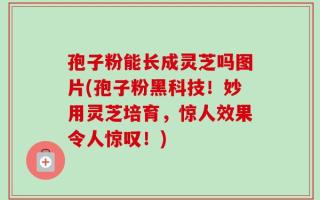孢子粉能长成灵芝吗图片(孢子粉黑科技！妙用灵芝培育，惊人效果令人惊叹！)