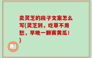 卖灵芝的段子文案怎么写(灵芝到，吃草不用愁，早晚一颗赛黄瓜！)
