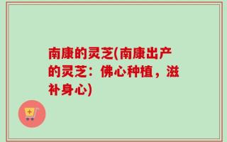 南康的灵芝(南康出产的灵芝：佛心种植，滋补身心)