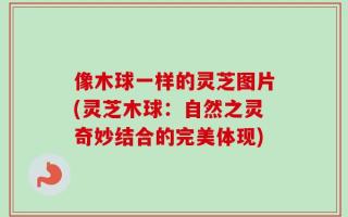 像木球一样的灵芝图片(灵芝木球：自然之灵奇妙结合的完美体现)