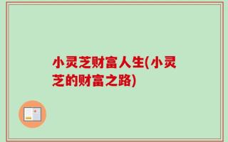 小灵芝财富人生(小灵芝的财富之路)