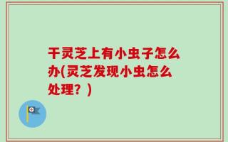 干灵芝上有小虫子怎么办(灵芝发现小虫怎么处理？)