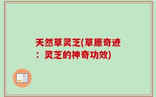 天然草灵芝(草原奇迹：灵芝的神奇功效)