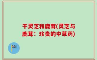 干灵芝和鹿茸(灵芝与鹿茸：珍贵的中草药)