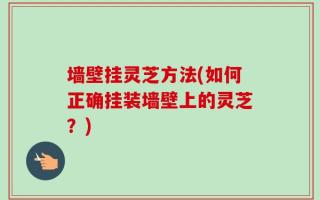 墙壁挂灵芝方法(如何正确挂装墙壁上的灵芝？)