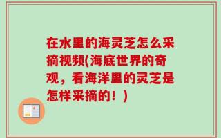 在水里的海灵芝怎么采摘视频(海底世界的奇观，看海洋里的灵芝是怎样采摘的！)
