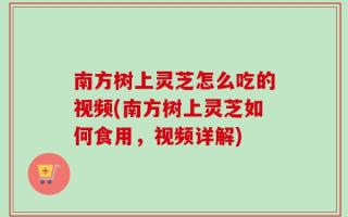 南方树上灵芝怎么吃的视频(南方树上灵芝如何食用，视频详解)
