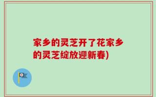 家乡的灵芝开了花家乡的灵芝绽放迎新春)