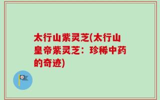 太行山紫灵芝(太行山皇帝紫灵芝：珍稀中药的奇迹)