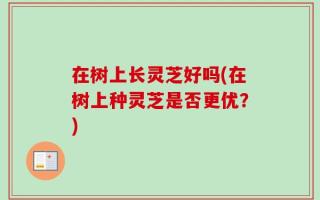 在树上长灵芝好吗(在树上种灵芝是否更优？)