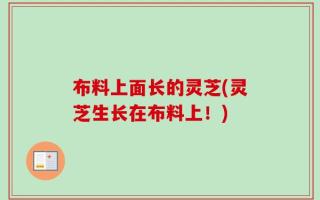布料上面长的灵芝(灵芝生长在布料上！)
