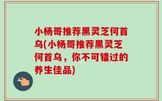 小杨哥推荐黑灵芝何首乌(小杨哥推荐黑灵芝何首乌，你不可错过的养生佳品)