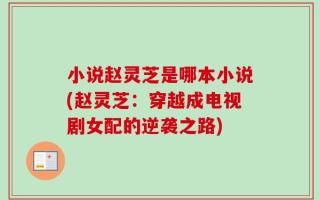 小说赵灵芝是哪本小说(赵灵芝：穿越成电视剧女配的逆袭之路)