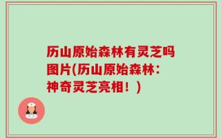 历山原始森林有灵芝吗图片(历山原始森林：神奇灵芝亮相！)