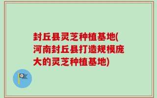 封丘县灵芝种植基地(河南封丘县打造规模庞大的灵芝种植基地)