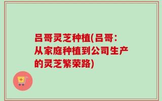 吕哥灵芝种植(吕哥：从家庭种植到公司生产的灵芝繁荣路)