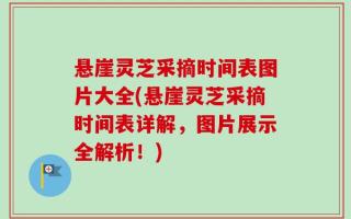悬崖灵芝采摘时间表图片大全(悬崖灵芝采摘时间表详解，图片展示全解析！)