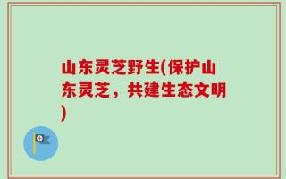 山东灵芝野生(保护山东灵芝，共建生态文明)