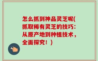 怎么抓到神品灵芝呢(抓取稀有灵芝的技巧：从原产地到种植技术，全面探究！)