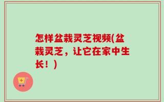 怎样盆栽灵芝视频(盆栽灵芝，让它在家中生长！)