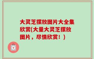 大灵芝摆放图片大全集欣赏(大量大灵芝摆放图片，尽情欣赏！)