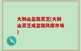 大别山盆栽灵芝(大别山灵芝成盆栽风靡市场)