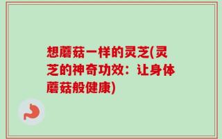 想蘑菇一样的灵芝(灵芝的神奇功效：让身体蘑菇般健康)