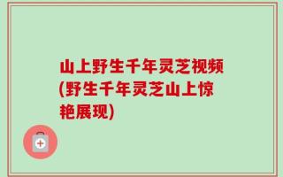 山上野生千年灵芝视频(野生千年灵芝山上惊艳展现)
