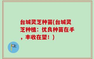 台城灵芝种苗(台城灵芝种植：优良种苗在手，丰收在望！)