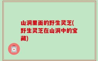 山洞里面的野生灵芝(野生灵芝在山洞中的宝藏)