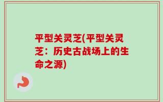 平型关灵芝(平型关灵芝：历史古战场上的生命之源)