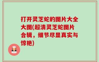 打开灵芝蛇的图片大全大图(超清灵芝蛇图片合辑，细节尽显真实与惊艳)