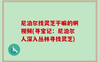 尼泊尔找灵芝干嘛的啊视频(寻宝记：尼泊尔人深入丛林寻找灵芝)