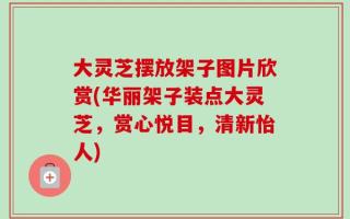 大灵芝摆放架子图片欣赏(华丽架子装点大灵芝，赏心悦目，清新怡人)