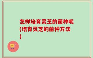 怎样培育灵芝的菌种呢(培育灵芝的菌种方法)
