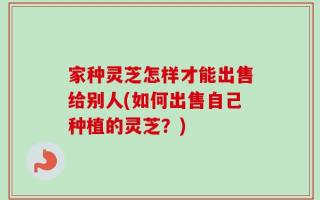 家种灵芝怎样才能出售给别人(如何出售自己种植的灵芝？)