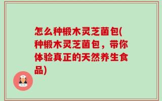 怎么种椴木灵芝菌包(种椴木灵芝菌包，带你体验真正的天然养生食品)
