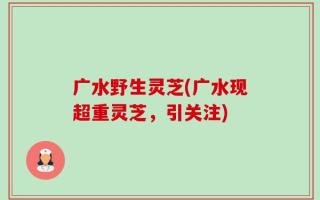 广水野生灵芝(广水现超重灵芝，引关注)