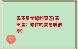 天王星忙碌的灵芝(天王星：繁忙的灵芝收割季)