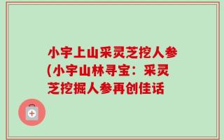 小宇上山采灵芝挖人参(小宇山林寻宝：采灵芝挖掘人参再创佳话