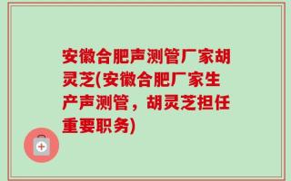 安徽合肥声测管厂家胡灵芝(安徽合肥厂家生产声测管，胡灵芝担任重要职务)