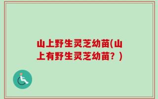山上野生灵芝幼苗(山上有野生灵芝幼苗？)