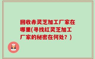 回收赤灵芝加工厂家在哪里(寻找红灵芝加工厂家的秘密在何处？)