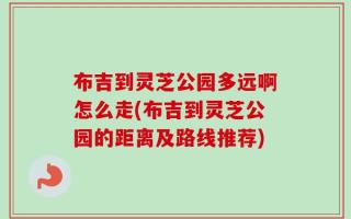 布吉到灵芝公园多远啊怎么走(布吉到灵芝公园的距离及路线推荐)