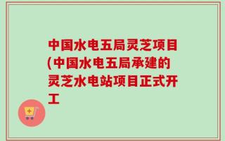 中国水电五局灵芝项目(中国水电五局承建的灵芝水电站项目正式开工