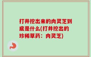打井挖出来的肉灵芝到底是什么(打井挖出的珍稀草药：肉灵芝)